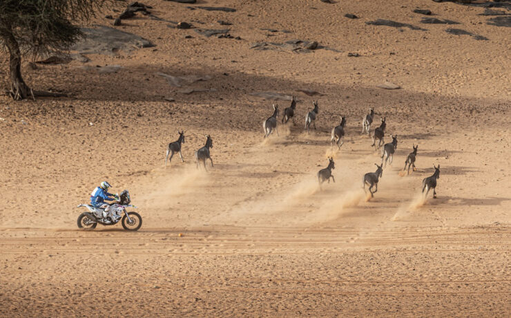 Africa-Eco-Race-2022